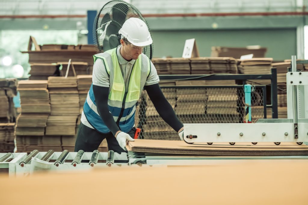 The tech prepare cardboard sheet with precision before automating production in the paper factory.